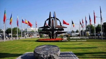 İsviçre'den "NATO ile yoğun işbirliği" çağrısı