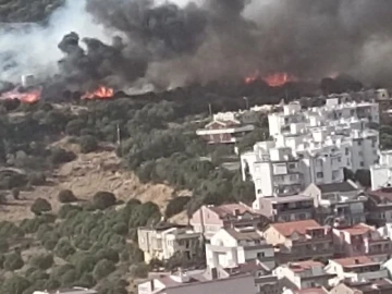 İzmir’de yerleşim yerlerine yakın alanda orman yangını
