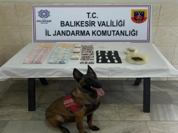 Jandarma narkotik köpeği Çömlek’ten kaçamadılar
