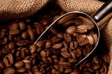 Kahve Kolaylığı: En İyi Kapsüllü Kahve Makineleri İncelemesi