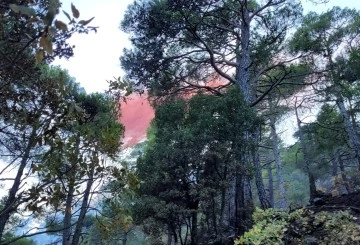 Kanyonda düşen yıldırımın neden olduğu orman yangını kontrol altına alındı