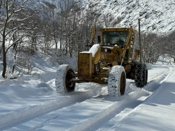 Kar nedeniyle 49 yerleşim yolu kapandı 