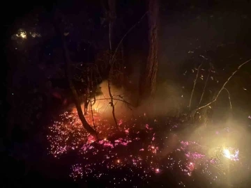 Karabük’teki orman yangınına müdahale sürüyor

