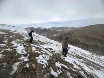 Kars’ta yaban hayvanları için doğaya yem bırakıldı
