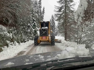 Kastamonu’da kar sebebiyle kapanan 45 köy yolunda çalışmalar sürüyor
