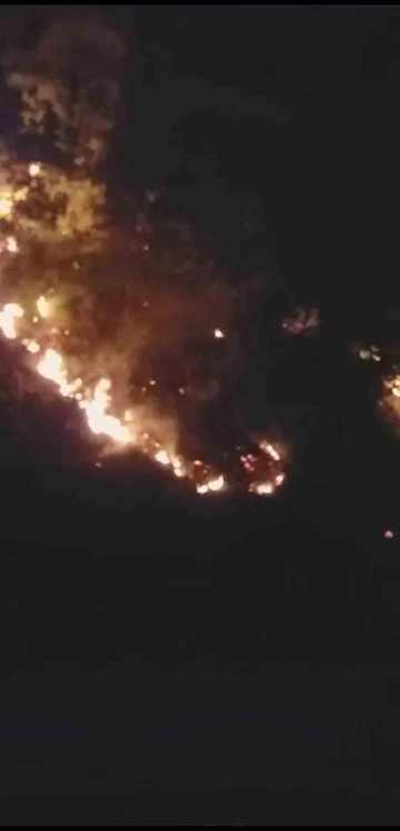 Kastamonu’da korkutan orman yangını
