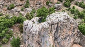 Kayanın üzerindeki ağaç görenlerin dikkatini çekiyor

