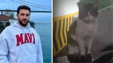 Kedi Eros'u vahşice öldürdü mahkeme kararını verdi 