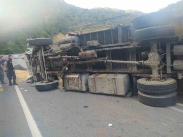 Kepek yüklü kamyon yola devrildi: 2 yaralı
