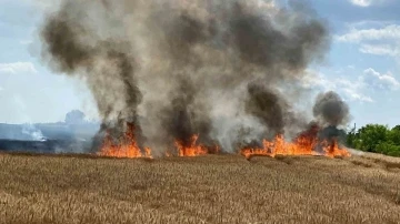 Kırklareli’de 20 günde yaklaşık 500 dönüm buğday tarlası yandı
