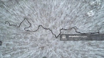 Kırklareli'nde karla kaplanan Istranca ormanları havadan görüntülendi