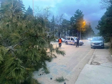 Konya’da şiddetli fırtınada 1 kişi yaralandı
