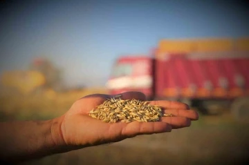 Konya Ovası’ndaki buğday hasadında 2 milyon 400 bin rekolte

