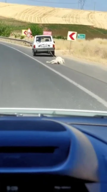 Köpeği aracın arkasına bağlayarak sürükledi
