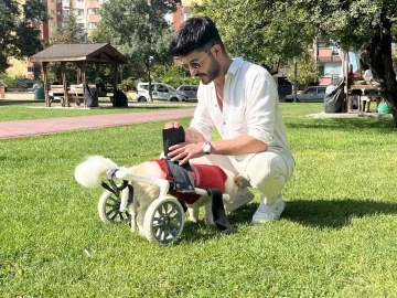 Köpeği felç kaldıktan sonra Müslüman oldu
