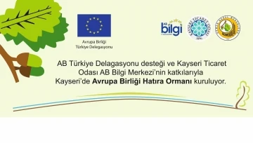 Bursa'da 'Map My Tree' kampanyası gerçekleşecek! 