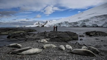 Kutup meraklıları "tek tıkla" bölgeyle ilgili bilimsel bilgilere erişebilecek