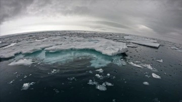 Kuzey Kutbu'nda son bir yılda İstanbul'un 3'te biri büyüklüğünde deniz buzu eridi