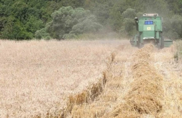 Lapseki’de Buğday Çeşit Demonstrasyon Tarla Günü düzenlendi
