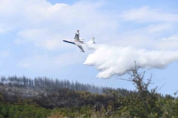 Lapseki’deki orman yangını kontrol altına alındı, 7 hektar alan zarar gördü
