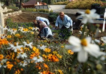 Macera Bursa’da kış çiçekleri açıyor