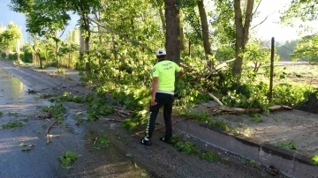 Malatya’da 15 dakikalık fırtına ağaçları devirdi
