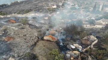 Manisa’daki orman yangınında 14 ev ve 3 ahır kül oldu
