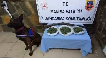 Manisa Jandarması uyuşturucu tacirlerine göz açtırmıyor
