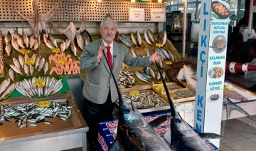 Marmara Denizi’nde dev kılıç balıkları ağlara takıldı
