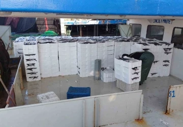 Marmara Denizi’ne ağ atan balıkçılar, yaklaşık 30 ton torik balığı avladılar