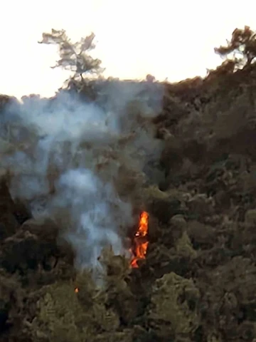 Marmaris Karacasöğüt’te orman yangını
