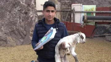 MEB projesi ile 17 yaşındaki çoban yeniden okullu oldu
