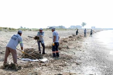 Mersin’de caretta carettaların üreme alanı sahiller temizleniyor
