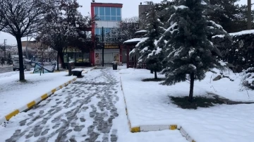 Muradiye’de kar yağışı
