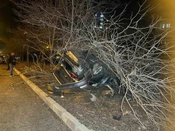 Nevşehir’de kontrolden çıkan araç ağaca çarptı: 1 yaralı
