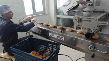 Okullarda üretilen ekmekler deprem bölgesine gönderiliyor
