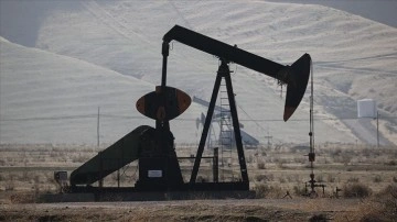 OPEC+ üretim kesintisi kararı sonrası petrol fiyatlarında "110 dolar" vurgusu