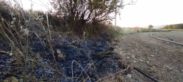 Osmaneli’de elektrik tellerine çarpan kuş yangına neden oldu
