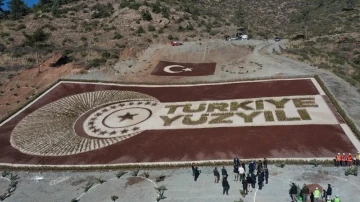 Osmaniye’de 28 bin fidanla Türkiye yüzyılı logosu oluşturuldu
