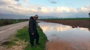 Osmaniye’de, Nisan yağmurları çiftçiye can suyu oldu
