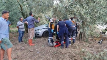 Bursa'da otomobil zeytinliğe daldı: 1 ölü, 1 yaralı