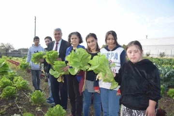 Özel öğrenciler, tarım lisesi öğrencilerinin ürettikleri mantarları ve sebzeleri birlikte topladı
