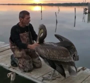 Pelikanla, balıkçının dostluğu
