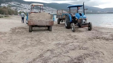 Plaj kumunu traktör römorkuna doldururken yakalandılar
