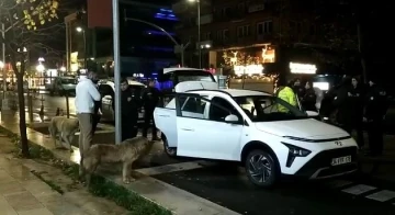 Polis uyuşturucu aradı, sokak köpekleri seyretti
