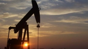 Rus Ural petrolünün ortalama fiyatı 2023’te tavan fiyatın üzerinde işlem gördü