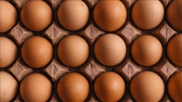 Rusya'nın Türkiye'den ithal ettiği yumurtalar ülkeye ulaştı
