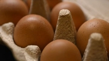Rusya'nın Türkiye'den ithal ettiği yumurtaların sevkiyatı sürüyor