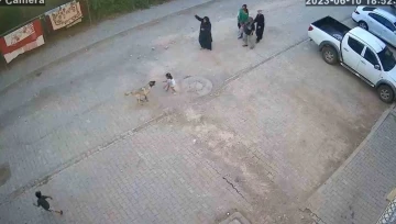 Şanlıurfa’da sokak köpeği ailesiyle yolda yürüyen çocuğa saldırdı
