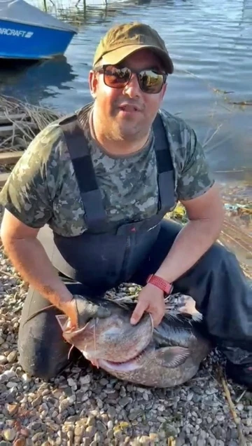 Sapanca Gölü’nde 24 kiloluk balık yakaladı, üremesi için suya geri bıraktı

